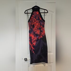 Sleeveless Floral Sheath Dress in Red and Purple